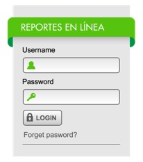 Reportes en linea