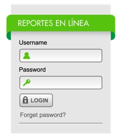 Reportes en linea